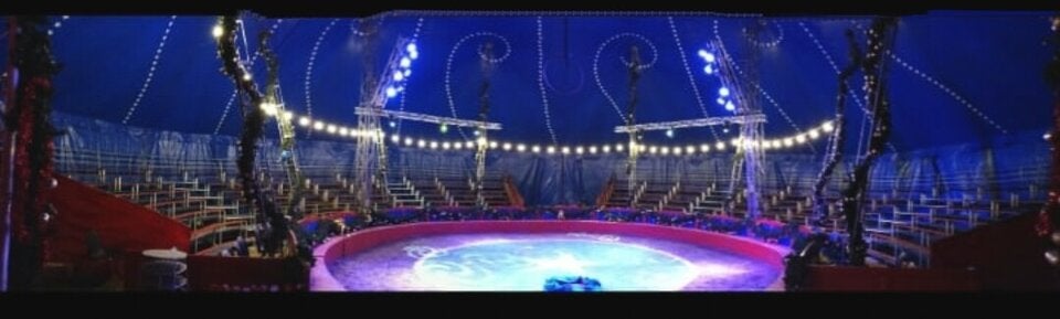 Beklagter Circus Belly: Klagen von Tankstelle auf Besitzstörung als Geschäftsmodell?