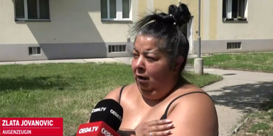 zlata jovanovic
