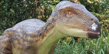 Dinosaurier ziehen in Zoo Schmiding ein