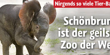 Der geilste Zoo der Welt