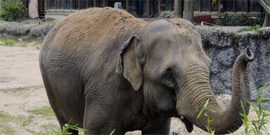Zoo Karlsruhe