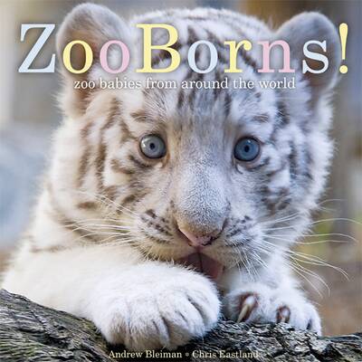 Die süßesten Zoo-Babys der Welt