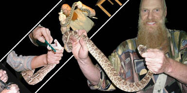 Gift-Viper tötet Experten bei Tier-Show