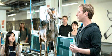 Zuckerberg: Mit Ziege in TV-Spot