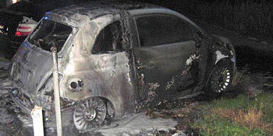 Teenies (15) als Serien-Z&uuml;ndler