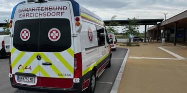 Mann rastete in Zug aus