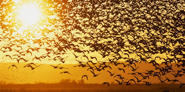 Sommer ade! Jetzt kommt Wetter-Walze