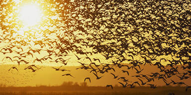 War's das jetzt mit dem Sommer?