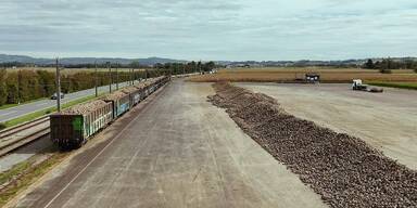 Es werden weniger Zuckerr&uuml;ben angebaut.