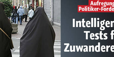 Kommen Intelligenztests für Zuwanderer?