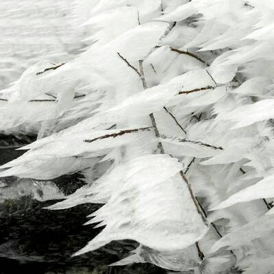 Ausnahmezustand in Ottenschlag