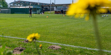Warnung an 'spielunwillige' Zweitligisten