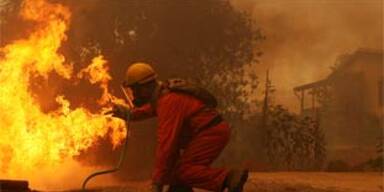 Waldbrände halten Griechenland in Atem